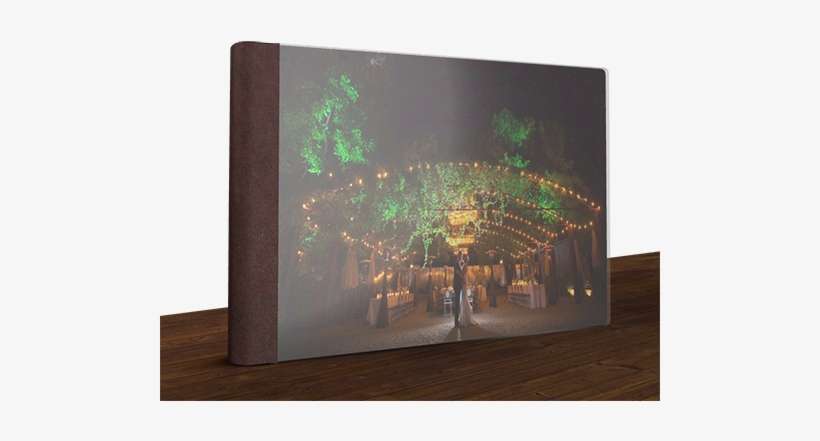 Sample Album One - Tree, transparent png download