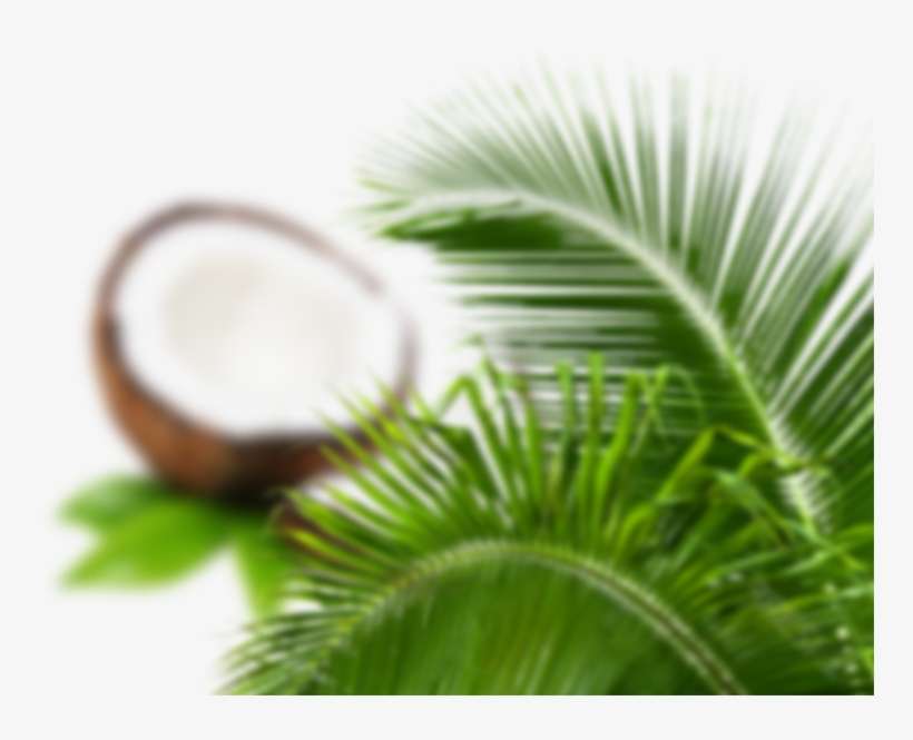 Taste Of Original - Close-up, transparent png download