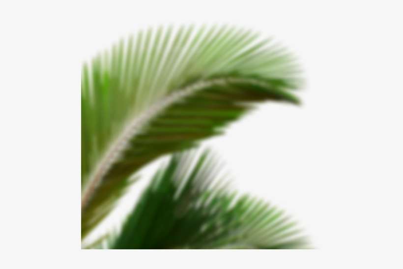 Taste Of Original - Close-up, transparent png download