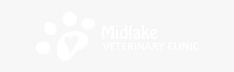 Veterinarians Calgary Alberta - Midlake Veterinary Clinic, transparent png download