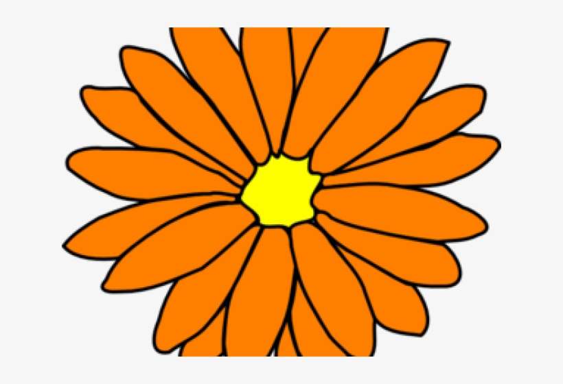 Single Flower Coloring Flower, transparent png download