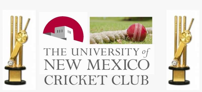 Unm Cricket Cup Spring - Artificial Turf, transparent png download