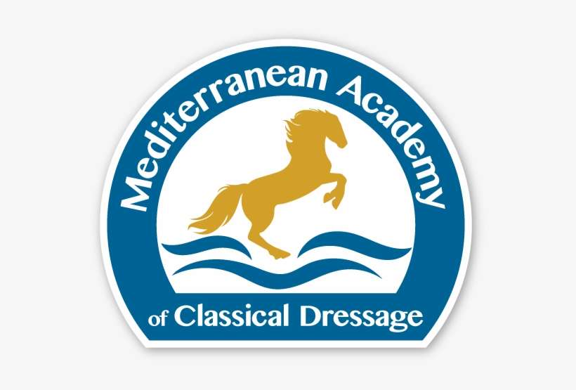 Logo Design - National Veteran Small Business Coalition, transparent png download