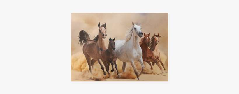 Painel De Festa Infantil 3,00x1,70 Cavalos No Deserto, transparent png download