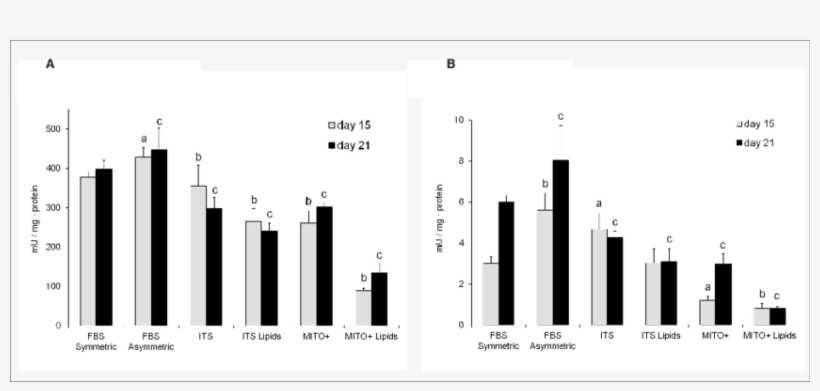 Effect Of Medium Composition On The Enzymatic Activity - Diagram, transparent png download