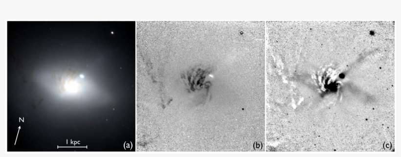 Show More Plots - Monochrome, transparent png download