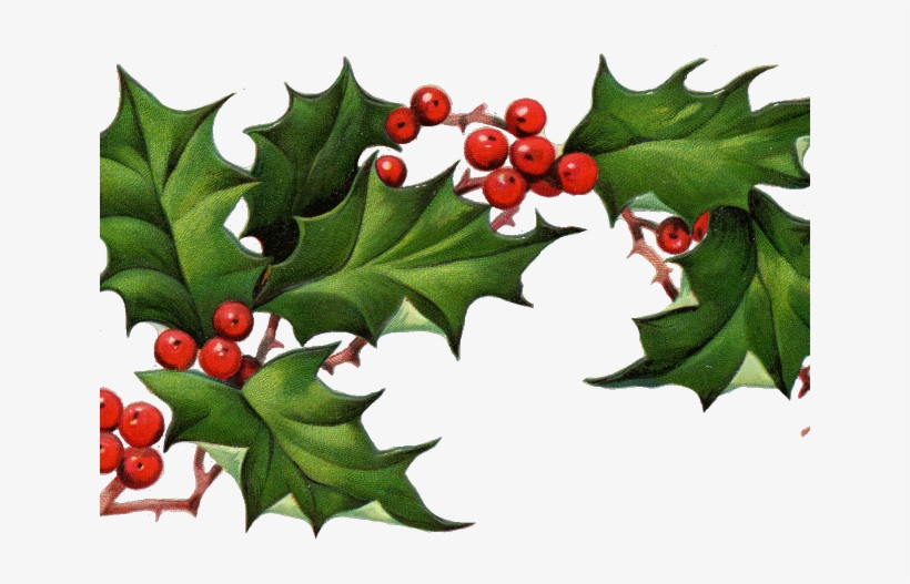 Holley Clipart December - Christmas Elements Png, transparent png download