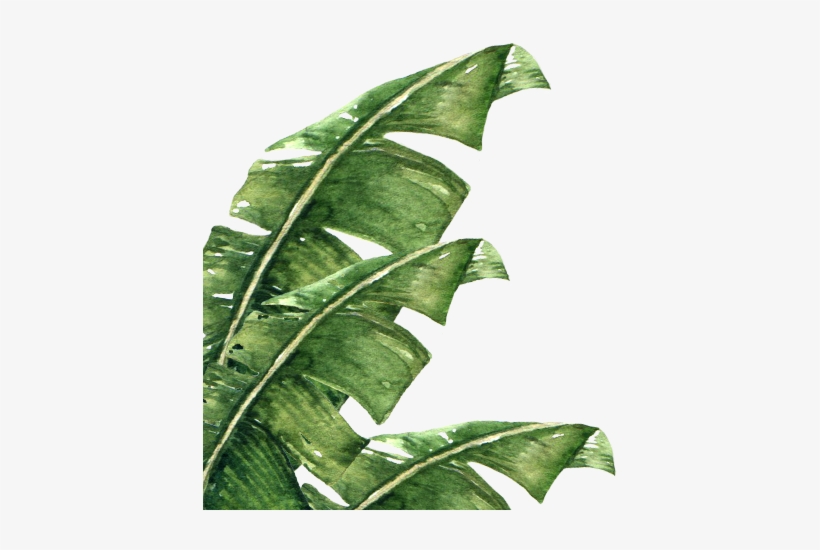 Services Leaves1 - Bone, transparent png download
