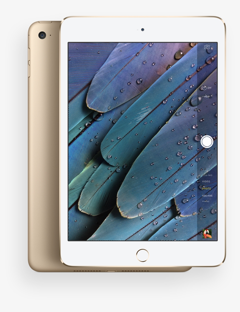 The Apple Ipad Mini Didn't Get The Limelight, Which - Ipad Mini 4, transparent png download