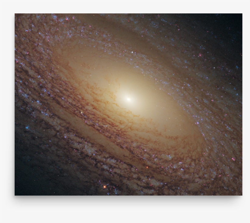 Spiral Galaxy Ngc - Ngc 2841, transparent png download