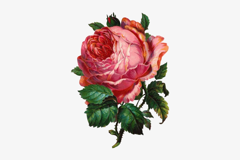 Vintage Cards - Vintage Flower Clip Art, transparent png download