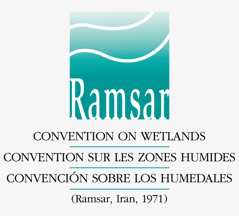 Other Acceptable Logo Versions - Convencion Ramsar De 1971, transparent png download