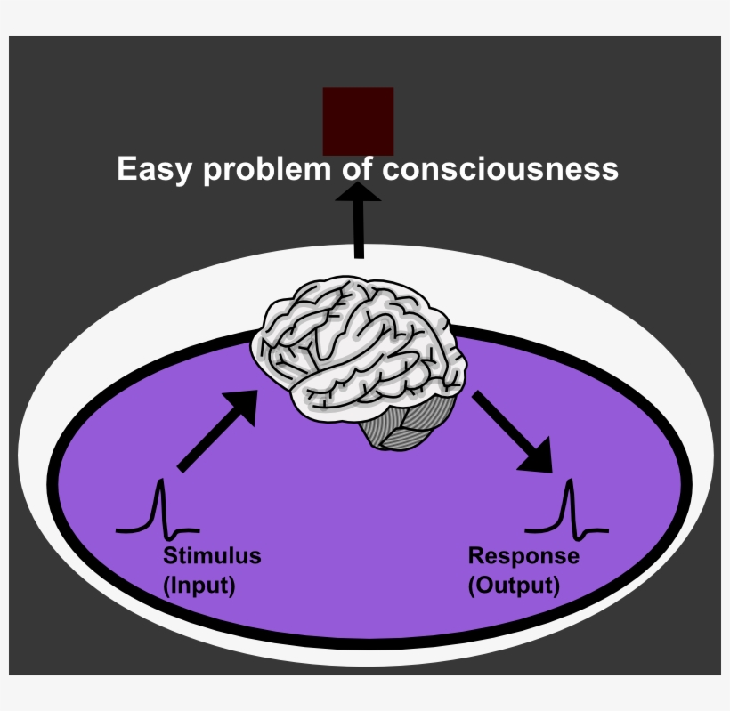 Easy Problem Of Consciousness - Mind Body Hard Problem, transparent png download
