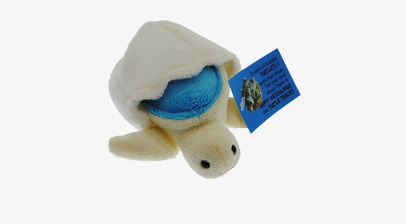 Buzz Aqua Turtle Hatchling Plush Toy With Attached - Toy Turtles, transparent png download