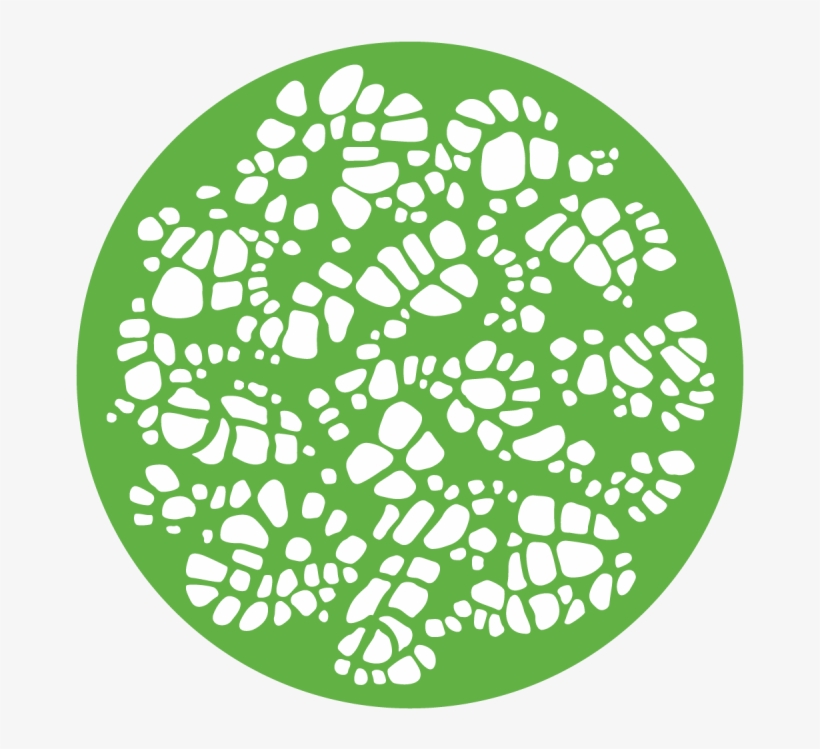 Turtle Shell - Apollo Design 1019 Turtle Shell Glass Pattern C1-1019, transparent png download