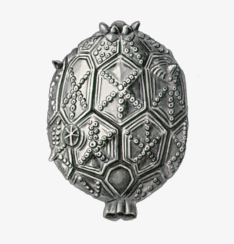 Art Forms In Nature, transparent png download