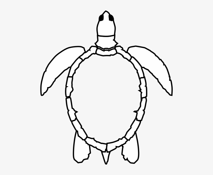 Download Sea Turtle Outline | Transparent PNG Download | SeekPNG