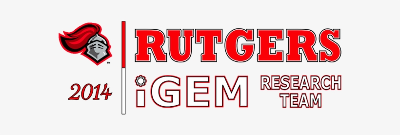 From 2014 - Igem - Org - Fathead Rutgers Scarlet Knights Teammate Wall Decal, transparent png download