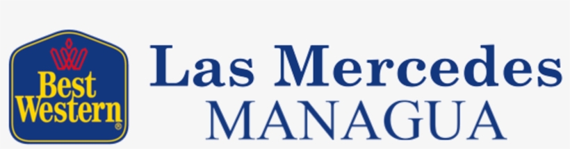 Download - Briscoe Center For American History Logo, transparent png download