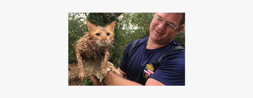 Good News Thomas Jefferson - Nashville Fire Department, transparent png download