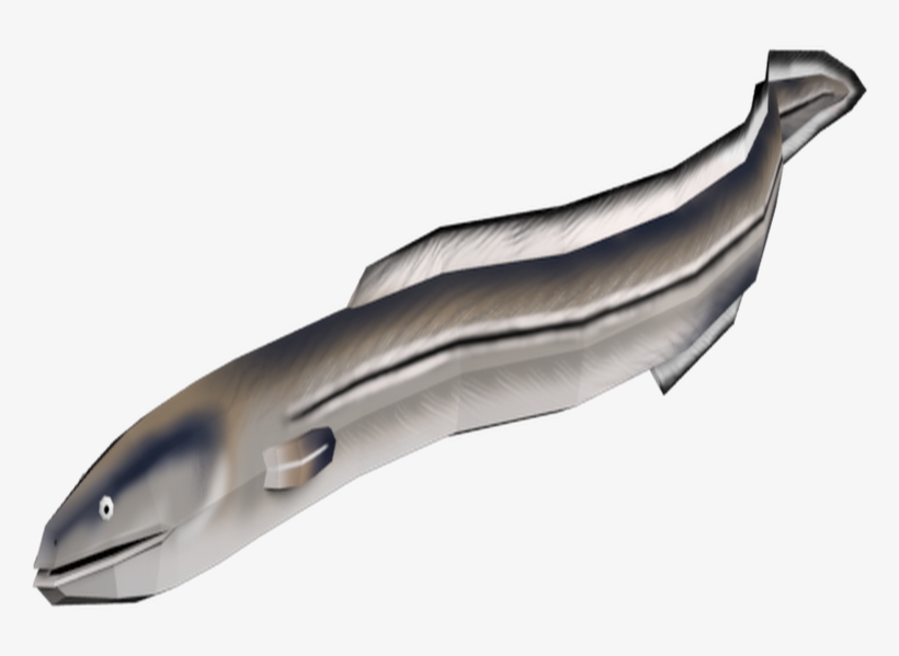 Ammunition, transparent png download