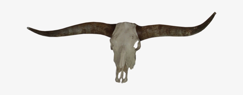 Weste-2 - Portable Network Graphics, transparent png download