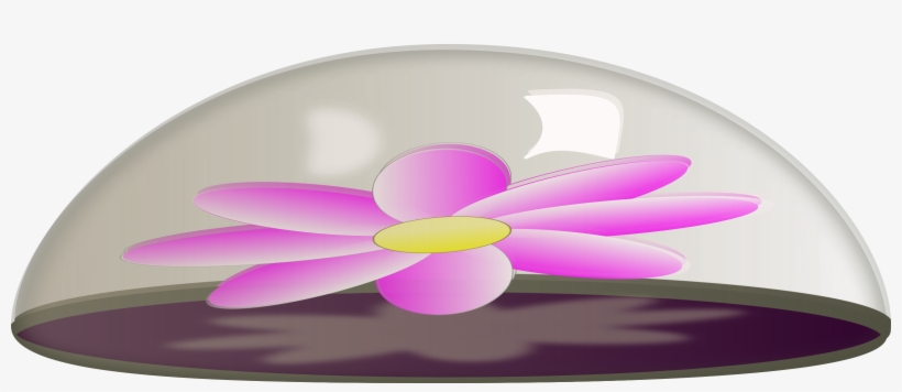 Flower In Glass Paper Weight Vector Free Download - Paper Weight Clipart, transparent png download
