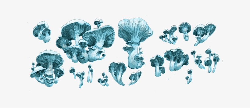 “dan Denton's Video Design - Illustration, transparent png download