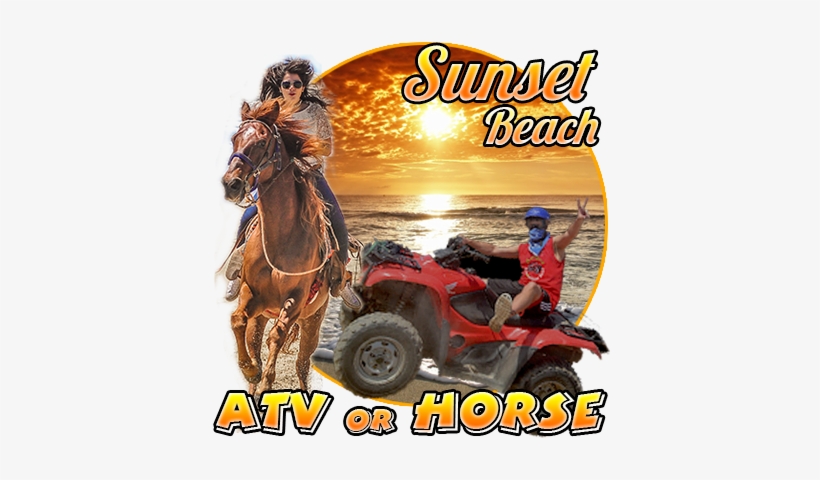 Sunset Beach Atv / Horse By Amigos Cabo - Stimuknowlogy: 365 Stimulators For Successful Leadership, transparent png download