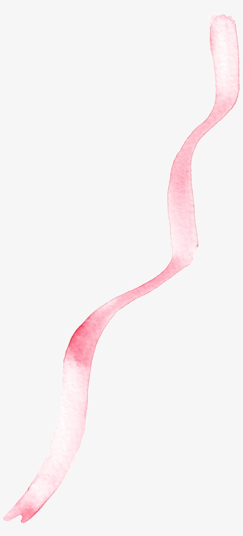 Soft Ribbon Cartoon Transparent - Greater Flamingo, transparent png download