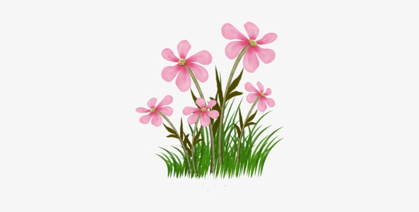 0 14c6e4 Dd50b1ea Orig Flowers &amp - Flower, transparent png download