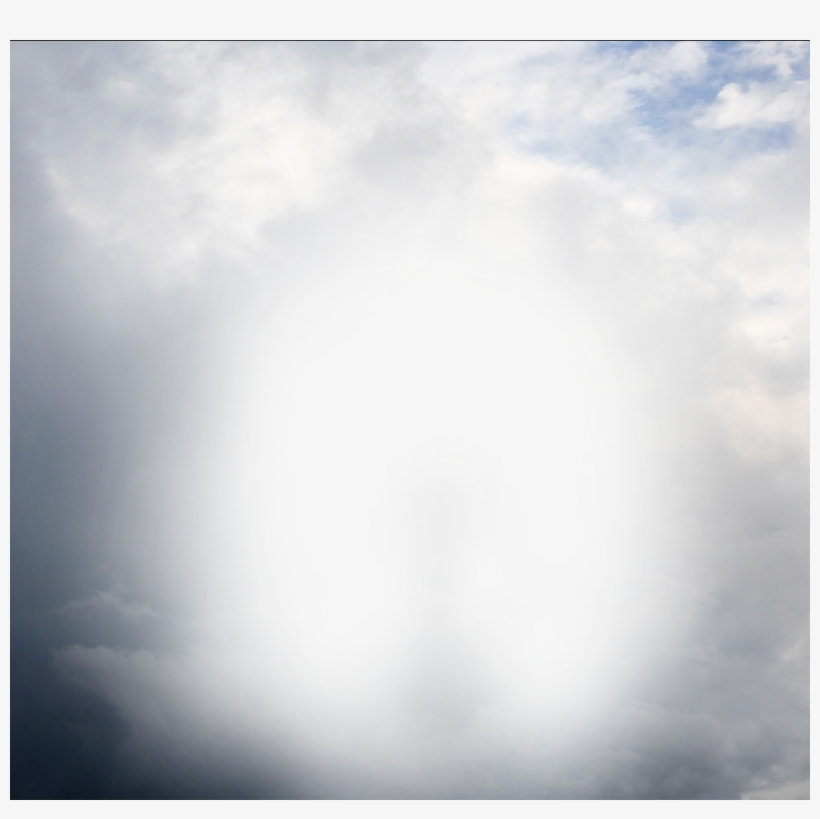 Preshant Singh Picsart - Tree, transparent png download