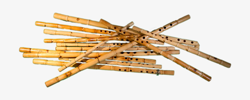 رغيد وليم - Wood, transparent png download