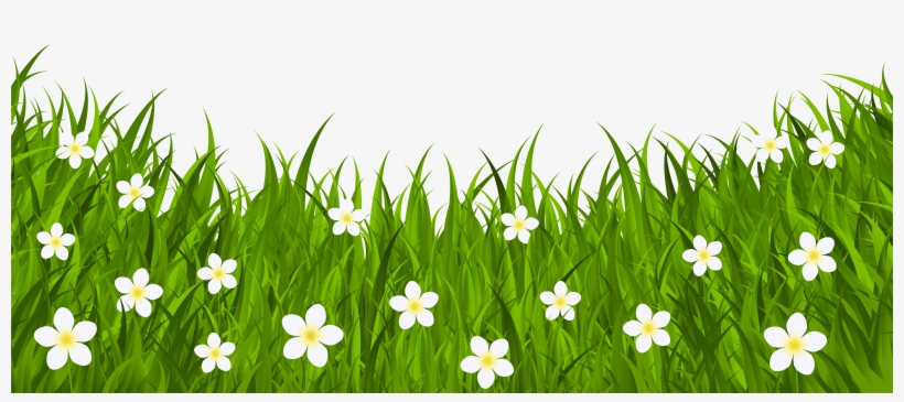 Grass Ground With Flowers Png Clip Art Image - Good Morning Happy Saturday Weekend, transparent png download