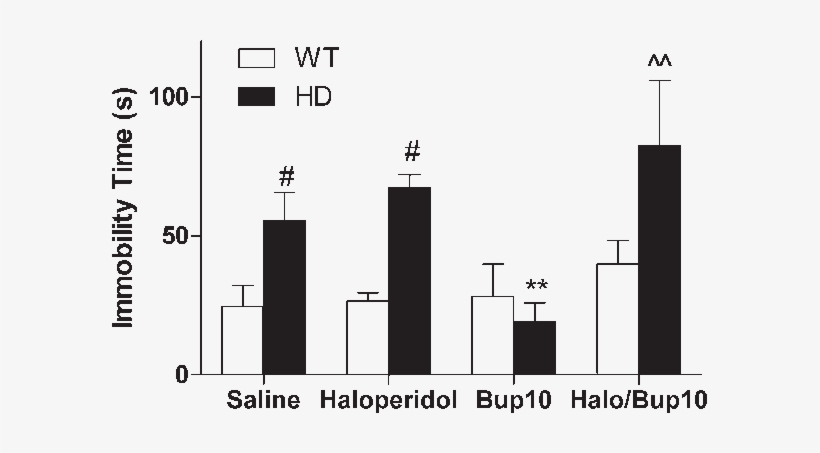 Effect Of Hd Mutation And Acute Bupropion Administration - Diagram, transparent png download