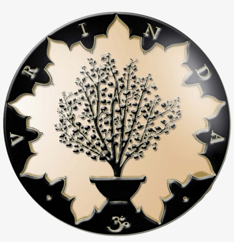 Chardham Yatra 2012 Vrinda - Mision Vrinda Png, transparent png download