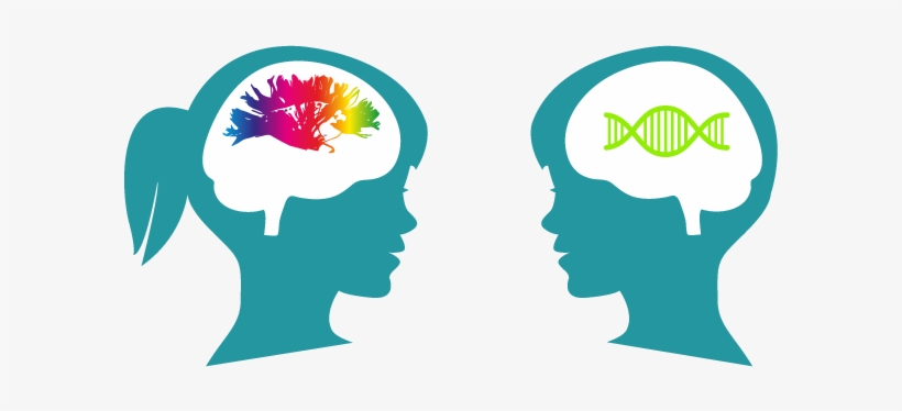 Vector Free Library Mrc Cognition And Brain Sciences - Cognition, transparent png download