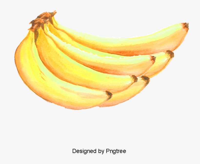 Fruit,watercolor,banana, Fruit Vector, Watercolor Vector, - Fruit, transparent png download