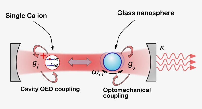 Despite Its Similarity To The Field Of Cavity Qed, - Cartoon, transparent png download