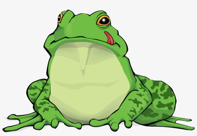Amphibian Png Free Download - Amphibian Png, transparent png download