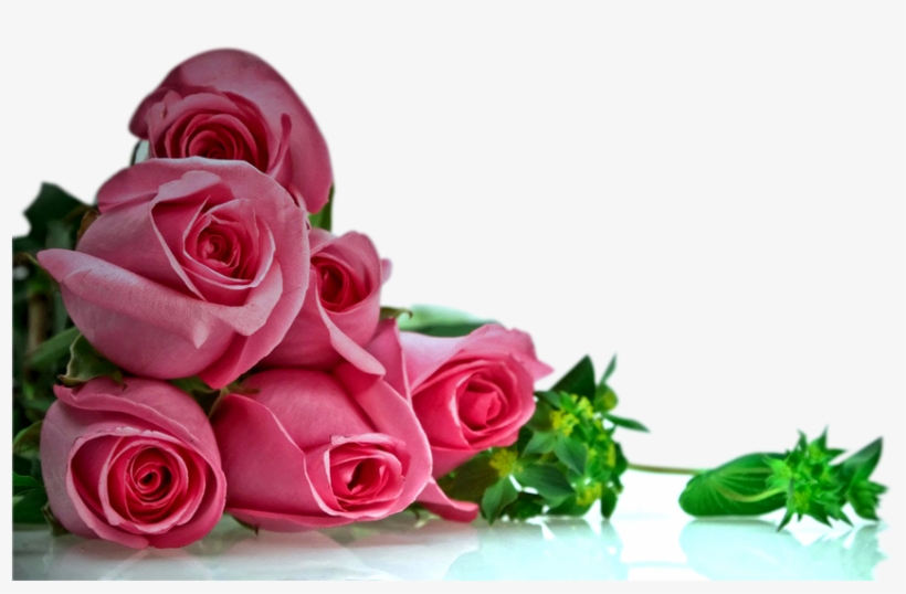 Single Rose Png Transpa Image Resolution 385 X 419 - Happy Anniversary Wishes, transparent png download