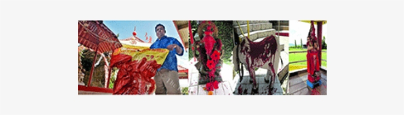 Indians Shocked At Fiji Temples Desecration - Shichi-go-san, transparent png download