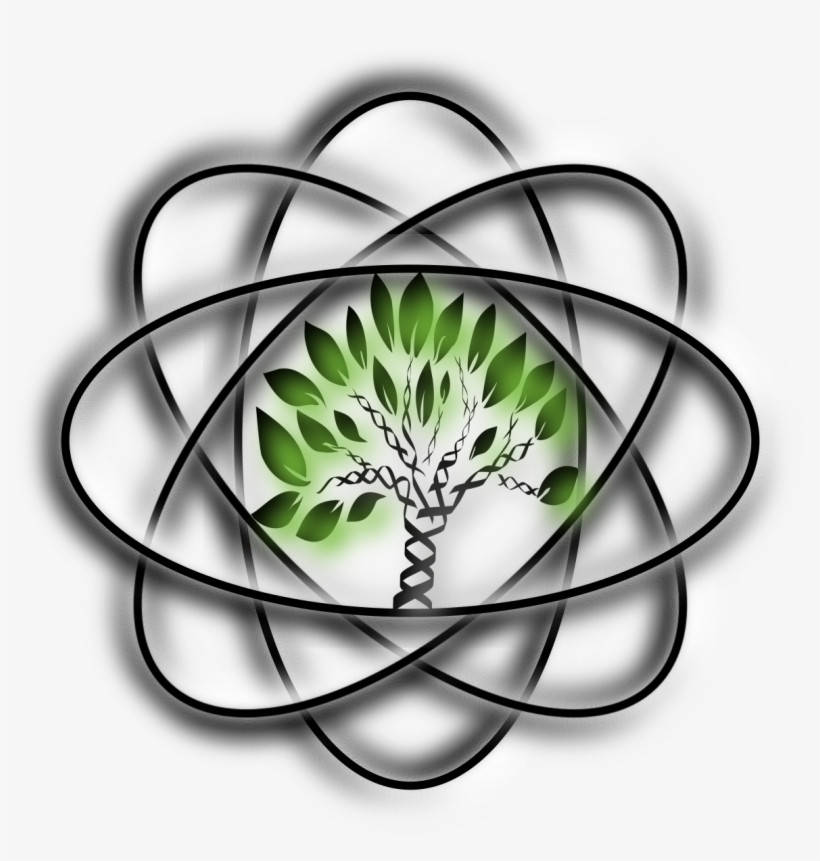 Les Empereurs Romains, transparent png download