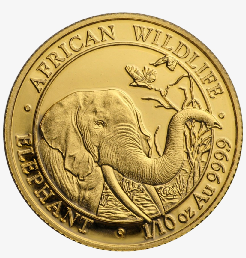 2018 Somalian Elephant 1/10oz Gold Coin - Złota Moneta Słoń Somalijski, transparent png download