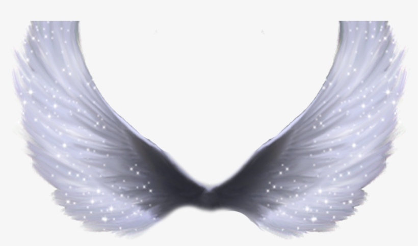Wings Png Hd, transparent png download