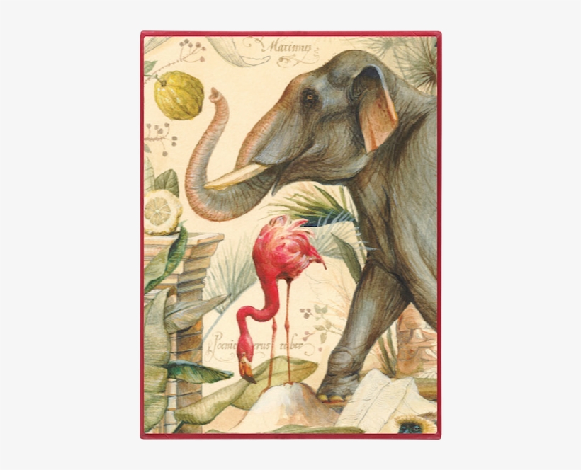 Wild Animals - Wallpaper, transparent png download