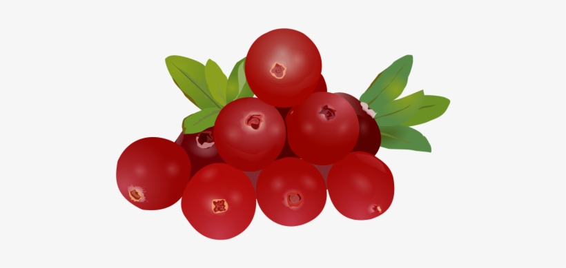 Fruit Drawing Clipart, Fruit Logo, Set Clipart, Exquisite - Fruits Drawing Hd, transparent png download