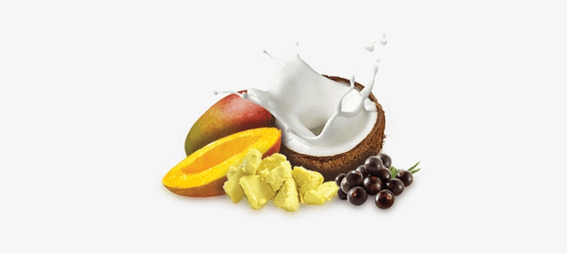 Coconut Milk Detangles And Conditions - Acai Berry Oil 100 Natural Cold Pressed., transparent png download