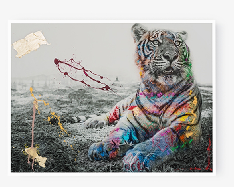 Photographs - I M Not A Trophy By Arno Elias, transparent png download