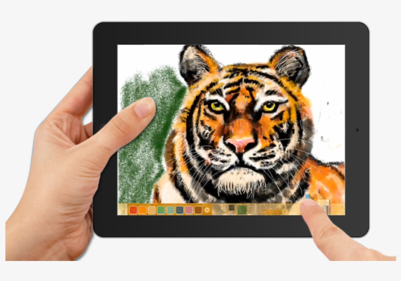 Video, transparent png download